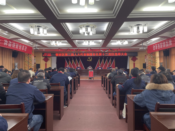 公司完成銅官區第二屆人大代表選舉工作